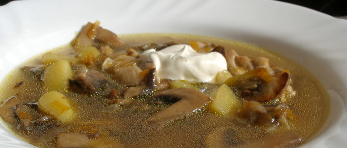 суп из свежих подберезовиков