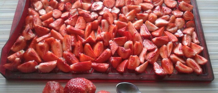 как высушить клубнику