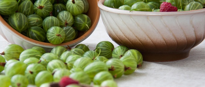 королевское варенье из крыжовника