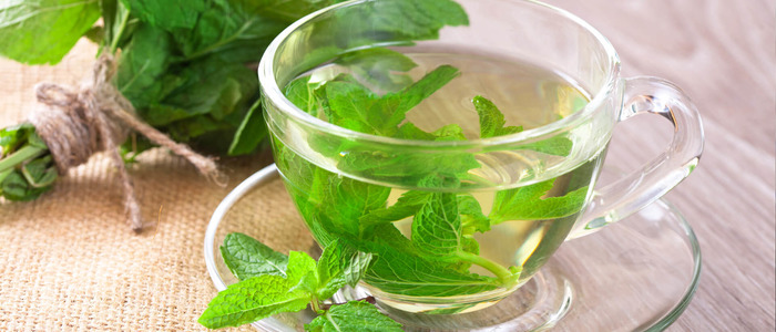 польза чая с мятой вред чая с мятой